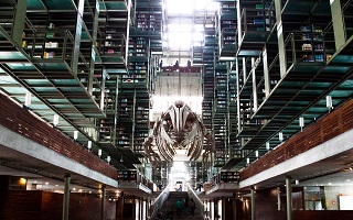 Bibioteca José Vasconcelos